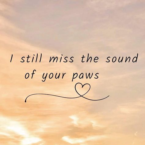 Lost Cat Tattoo, Lost Dog Tattoo, Losing A Pet Quotes, Dog Heaven Quotes, Miss My Dog, Dog Poems, Dog Quotes Love, Heaven Quotes, Dog Heaven