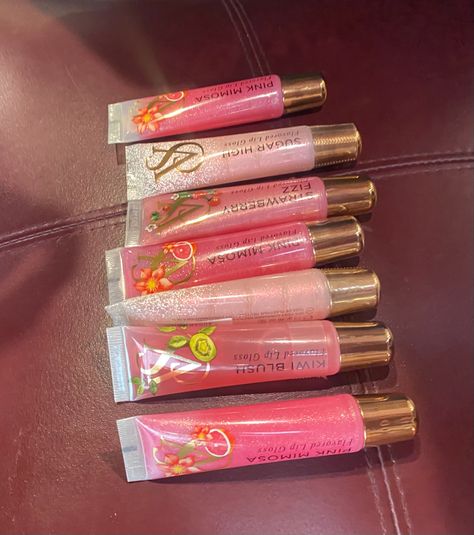 Strawberry Fizz, Pink Mimosa, Flavored Lip Gloss, Mimosa, Lip Gloss, Dream Closet, Blush, Lips, Closet