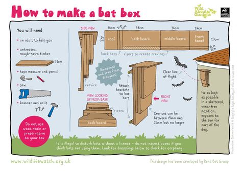 BioSol Ecology on Twitter: "Great #WeekendFun family idea to make a bat box to encourage #bats to roost in your garden next year. #WildAboutGardens https://t.co/9kli1FBiqM" Bat Box Plans, Bat House Diy, Build A Bat House, Bat Box, Forest School Activities, Bat House, Insect Hotel, Bird House Plans, Box Building