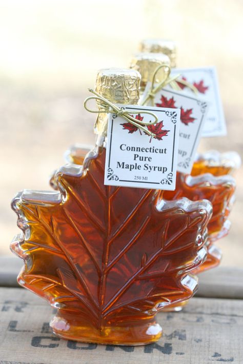 Maple Syrup Photoshoot, Maple Syrup Favors, Maple Syrup Aesthetic, Syrup Aesthetic, Maple Aesthetic, Gabe Core, Canadian Decor, Honey Aesthetic, Maple Syrup Bottles