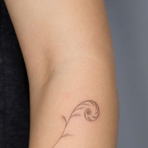 Curled Fern Tattoo, Koru Tattoo Maori, Fern Spiral Tattoo, Koru Tattoo Design, Nz Flower Tattoo, Tiny Fern Tattoo, Koru Tattoo Woman, Koru Fern Tattoo, Fern Stick And Poke