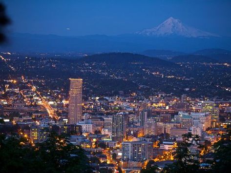 This is the downtown skyline of Portland, Oregon with Portland Skyline, Travel Wishes, Portland City, Mt Hood, Oregon Usa, Whale Watching, Aesthetic Design, Landscape Photos, Portland Oregon