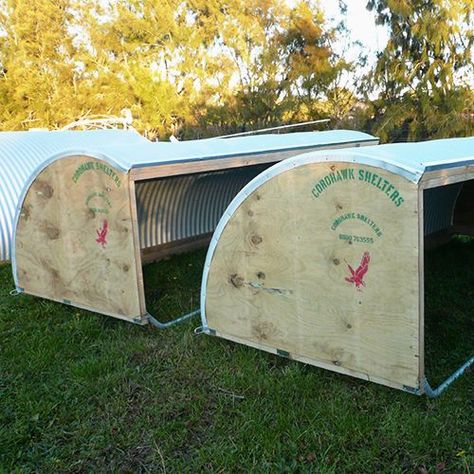 Sheep House Diy, Portable Sheep Shelter, Sheep House Ideas, Sheep Barn Ideas, Sheep Enclosure, Sheep Shed, Pig Shelter, Sheep Shelter, Kune Kune Pigs