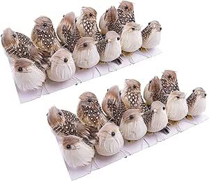 Warmtree 24 Pcs Artificial Simulation Birds Feather Mini Bird Decorative Fake Birds for Christmas Tree Craft Home Ornaments Garden Wedding Decoration (Set B) Eggs Craft, Fake Birds, Christmas Tree Craft, Artificial Birds, Home Ornaments, Bird Christmas Ornaments, Diy Doll Miniatures, Tree Craft, Bird Eggs