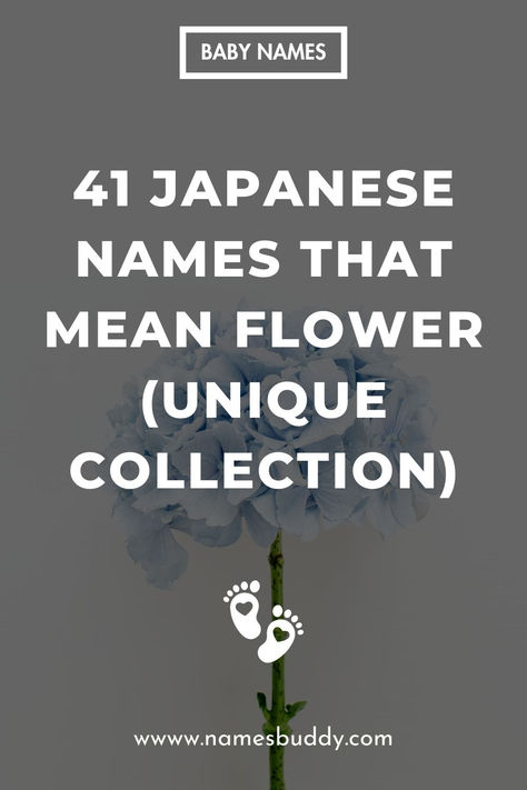 41 Japanese Names That Mean Flower Flower Names For Boys, Names That Mean Flower, Flower Names And Meanings, Japanese Flower Names, Blue Flower Names, Nature Names For Boys, Japanese Last Names, Flower Names For Girls, Japanese Names And Meanings