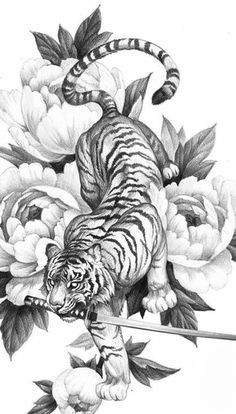 Prowling Lion Tattoo, Japanese Sketch Art Anime, Tiger Body Drawing, Japanese Animals Tattoo, Japanese Tattoos Tiger, Tiger Body Tattoo, Japanese Tiger Drawing, Japan Tiger Tattoo, Tiger Art Tattoo