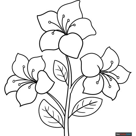 Free Azalea Coloring Page for Kids Azalea Drawing, Traceable Drawings Free Printable, Flower Coloring Pages Free Printable, Embroidery Templates Free Printable, Outline Of Flowers, Flower Templates Printable Free, Flower Coloring Sheets, Flower Templates Printable, Easy Drawing Guides