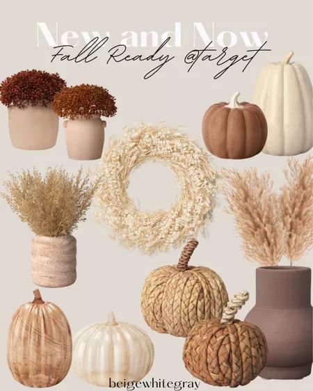 Home Goods Fall 2023, Light Color Fall Decor, Minimalist Neutral Fall Decor, Neutral Harvest Decor, Beige Fall Decor, Fall Decor Neutral Colors, Simple Neutral Fall Decor, Boho Fall Decor Living Room, Modern Fall Coffee Table Decor