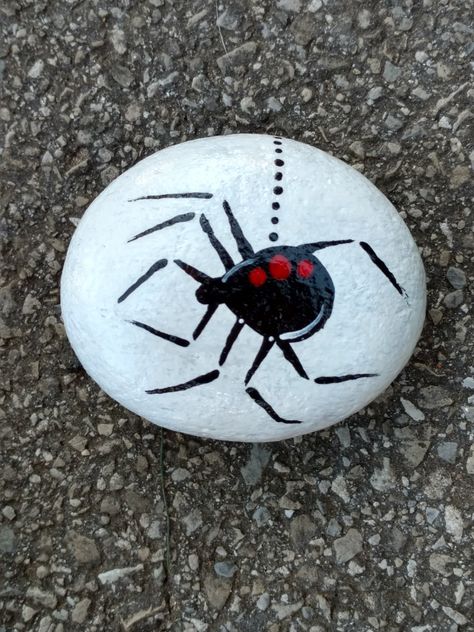 Spider rock painting Cute Spider Painting, Rock Painting Spider, Rocks Reference, Bug Rock Painting Ideas, Rock Painting Pictures, Insect Rock Painting Ideas, Insect Painted Rocks, Shell Painting, Rock Painting Ideas