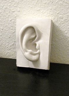 Ear Sculpture, Ears Art, Ear Piercing Jewelry, Anatomy Sculpture, Sculpture Techniques, Sculpture Art Clay, Plaster Sculpture, Earrings Ideas, Pottery Handbuilding