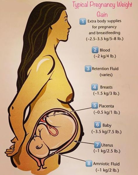 Pregnant Anatomy, Pregnancy Anatomy, Weight Gain During Pregnancy, Obstetrics Nursing, Spinning Babies, Pregnancy Workout Videos, Pregnancy Facts, Birth Videos, Weight Gain Supplements