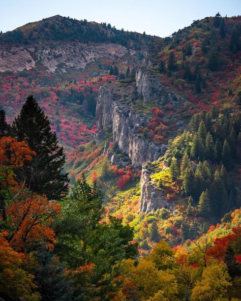 Fall in Ogden is a Vibe That Can't Be Missed | Visit Ogden Seven Falls, Ben Lomond, Northern Utah, Ogden Utah, Leaf Peeping, Beer Fest, Fall Events, Scenic Byway, Rv Parks