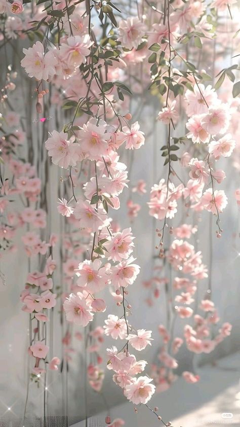 헬로키티 배경화면, Wallpaper Flower, Flowers Photography Wallpaper, Floral Wallpaper Phone, Pretty Phone Wallpaper, Simple Phone Wallpapers, Lovely Flowers Wallpaper, Flower Iphone Wallpaper, Cute Flower Wallpapers