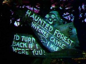 i'd turn back if i were you wizard of oz - Google Search Haunted Trail Ideas, Witches Castle, Haunted Woods, Dorothy Wizard Of Oz, Wizard Of Oz 1939, Wicked Witch Of The West, Haunted Forest, The Wonderful Wizard Of Oz, Land Of Oz