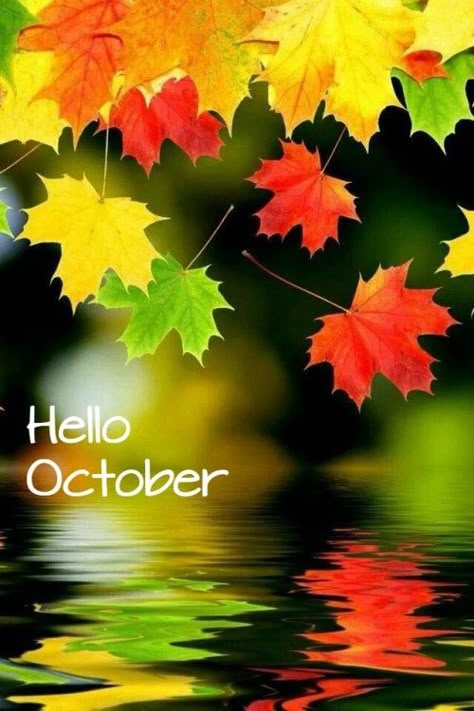 Background Image Via  It’s October! And I am so glad. September was a rough… Autumn Leaves Background, Charcoal Drawings, Love Autumn, Autumn Scenes, I Love Fall, Autumn Beauty, Fall Pictures, Love Fall, Fall Wallpaper