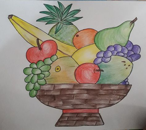 Easy fruit basket drawing for kids Drawing Grapes, Fruit Basket Drawing, Crayon Coloring, Basket Drawing, Fruits Drawing, Fruits For Kids, Pencil Drawings Easy, Art Drawings For Kids, Arte Animal