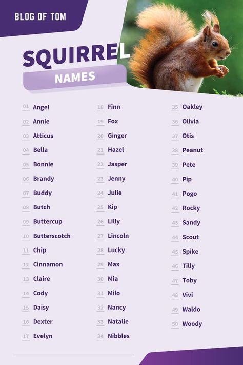 Squirrel Names Fox Names, Cute Animal Names, Sims Names, Deer Party, Cute Pet Names, Male Deer, Animal Names, Birthday Greetings Friend, Happy Birthday Greetings Friends