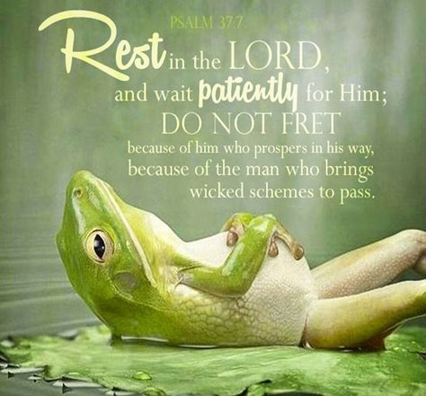 “Rest in the Lord, and wait patiently for him: fret not thyself because of him who prospereth in his way, because of the man who bringeth wicked devices to pass. Cease from anger, and forsake wrath: fret not thyself in any wise to do evil. For evildoers shall be cut off: but those that wait upon the Lord, they shall inherit the earth.” ‭‭[Psalm 37:7-9‬] Psalm 37 7, John 12, Stand Firm, 1 John, Dont Understand, Im Awesome, Bones Funny, The Words, The Lord