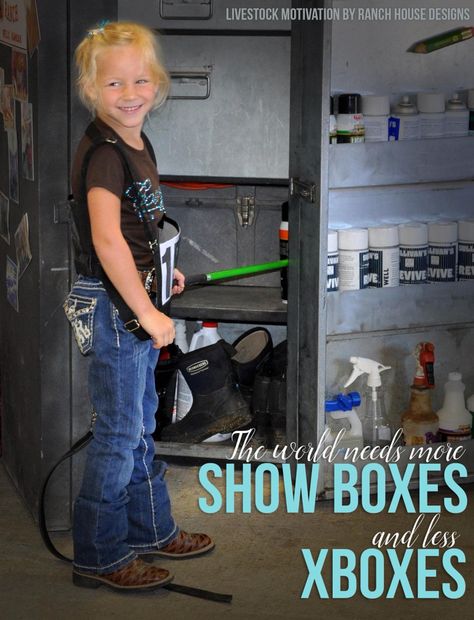 Show boxes Cattle Quotes, Cattle Showing, Livestock Quotes, Livestock Judging, Cow Quotes, Show Steers, Pig Showing, Show Cows, Show Goats