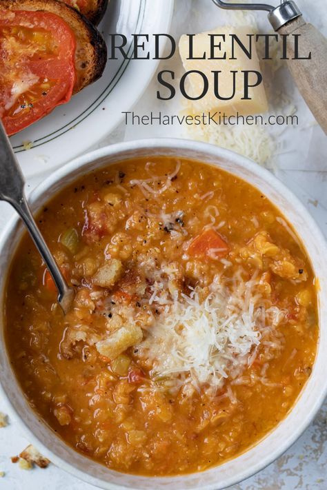 Best Red Lentil Soup Recipe, Red Split Lentil Soup, Split Red Lentil Recipes Soups, Pink Lentils Recipes, Red Lentil Soup Recipe Easy, Split Red Lentil Recipes, Red Lentil Recipes Soup, Red Lintel Recipes, Red Split Lentil Recipes