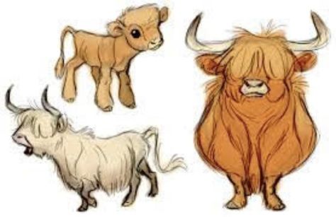 Cow Drawing, Cow Art, Animal Sketches, Character Design References, Creature Design, Highland Cow, Creature Art, Animal Illustration, Animal Design