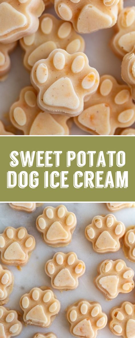 This Easy to make Sweet Potato Dog Ice Cream is perfect for summer and a great dog treat! Puppy Desserts For Dogs, Peanut Butter Cookies For Dogs Recipes, Puppy Ice Cube Treats, How To Make Treats For Dogs, Frozen Dog Treats Homemade Ice Cube Trays, Dog Treats Mold Recipes, Freeze Dog Treats, Cute Dog Treat Recipes, Summer Treats For Dogs