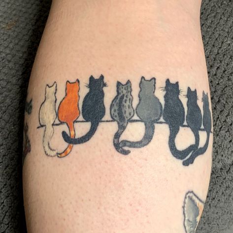 Multiple Cat Tattoo Designs, Cat Tattoo Multiple, 5 Cat Tattoo, Cat Arm Band Tattoo, Orange And Black Cat Tattoo, Multiple Cat Tattoo Ideas, 5 Cats Tattoo, Negative Space Cat Tattoo, Multiple Cats Tattoo