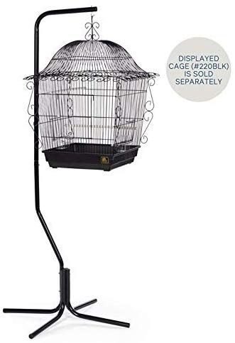 AmazonSmile : Prevue Hendryx Tubular Steel Hanging Bird Cage Stand 1780 Black, 24-Inch by 24-Inch by 60-Inch : Birdcages : Pet Supplies Bird Cage Ideas, Canary Cage, Birds Cage, Bird Cage Stand, Hanging Bird Cage, Plant Hacks, Fruit Photography, Leg Support, Hanging Plant