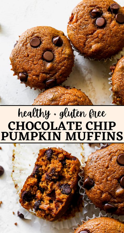 Healthy Pumpkin Chocolate Chip Muffins, Milk Allergy Mom, Gluten Free Pumpkin Spice, Gluten Free Pumpkin Muffins, Dairy Free Pumpkin, Baked Oatmeal Cups, Pumpkin Muffin Recipes, Pumpkin Chocolate Chip Muffins, Dairy Free Chocolate Chips