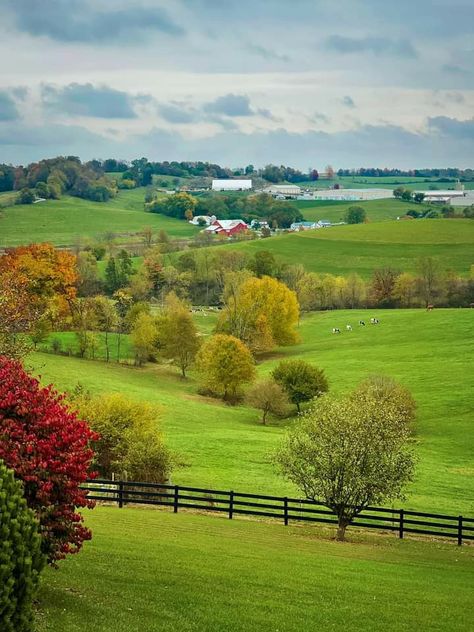 Nature, Rural America Aesthetic, Ohio Countryside, Ohio Aesthetic, Ohio Landscape, Unreal Places, Script Analysis, Sandusky Ohio, American Honey