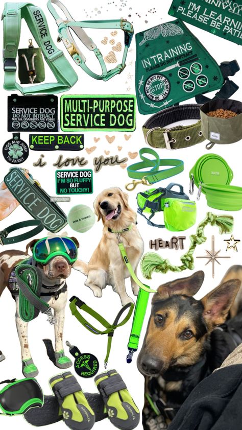 Service dog gear #servicedog#servicedogs#servicedoggear#dog#dogs#doggear#green##greengear Service Dog Gear, Puppy Checklist, Psychiatric Service Dog, Dog Equipment, Service Dogs Gear, Cool Room Designs, Service Dog Training, Service Dog Vests, Dog Business