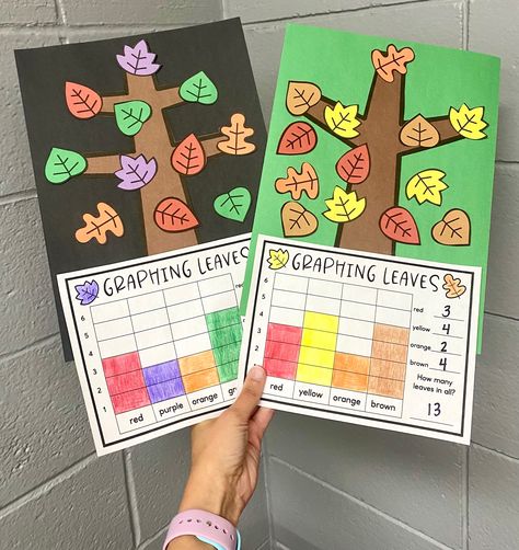 Graphing leaves! Fun fall math craft for the elementary classroom. Awesome bulletin board/hallway display! Graphing Ideas For Kindergarten, Fall Graphing Kindergarten, Leaf Graphing Preschool, Fall Student Work Display, Fall Craft Classroom, Math Bulletin Boards Preschool, Fall Craft Elementary, Classroom Fall Crafts, Thanksgiving Board Ideas Preschool