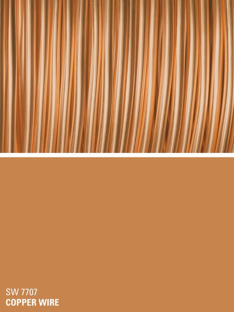 Sherwin-Williams orange paint color – Copper Wire (SW 7707) Sherwin Williams Orange, Grey Paint Schemes, Orange Paint Colors, Kitchen Paint Colors, Sherwin Williams Paint Colors, Orange Paint, Room Paint Colors, Color Paint, Exterior Paint Colors