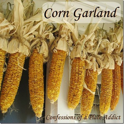 How to Make a Dried Corn Garland.  I love this over the front door.  Will do for fall. Corn Garland, Open House Parties, Christmas Primitive Crafts, Dried Corn, Easy Fall Decor, Thrifty Decor Chick, Indian Corn, Farmhouse Fall Decor, Primitive Decorating Country