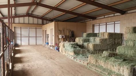 Livestock Barn, Barn Layout, Horse Farm Ideas, Diy Horse Barn, Cattle Barn, Horse Barn Ideas Stables, Barn Stalls, Horse Barn Designs, Horse Shelter