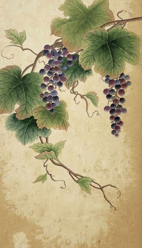 Grapes Painting, Grape Drawing, Grape Painting, Ocean Art Painting, Korean Painting, Japan Painting, Flower Drawing Tutorials, Chinese Art Painting, Lotus Art