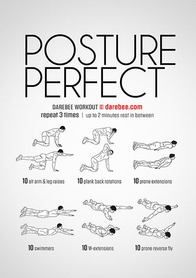 Visual Workouts Bolesti Chrbta, Muscle Abdominal, Posture Exercises, Perfect Posture, Muscles In Your Body, Trening Fitness, Better Posture, Stretching Exercises, Trening Abs