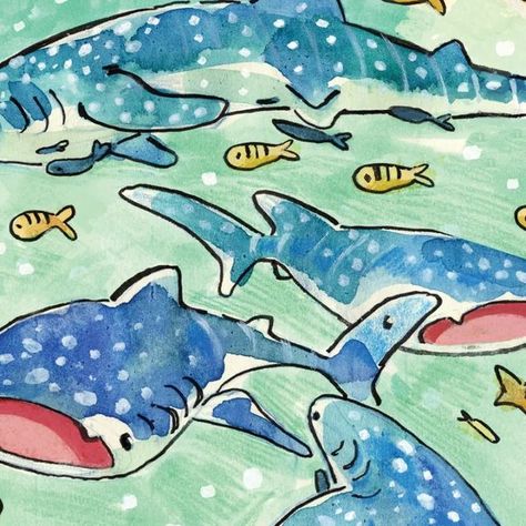 Wale Shark Art, Sketchbook Watercolor Ideas, Wale Sharks Drawing, Whale Shark Print, Baby Whale Shark, Whale Shark Drawing Cute, Whale Shark Watercolor, How To Draw Sea, Whale Shark Pfp