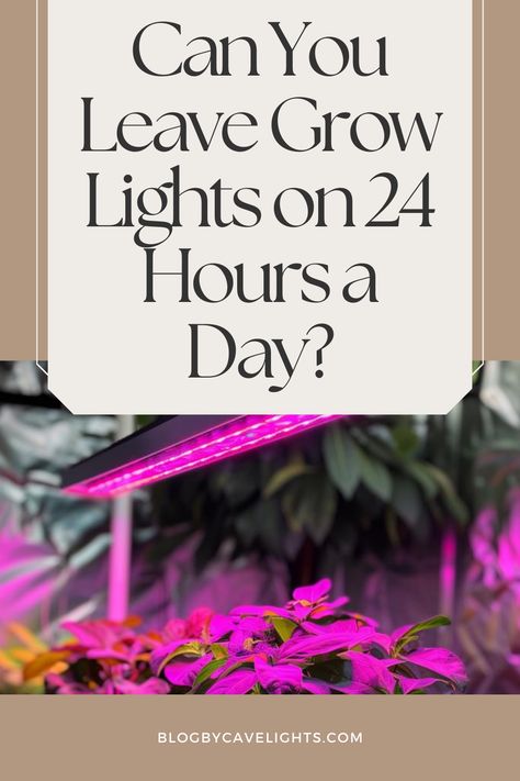 🌟 Light up your indoor sanctuary with grow lights! Uncover whether leaving grow lights on 24/7 is right for your plants. Explore our guide for indoor garden lighting inspiration and effective plant lighting setups. Click for a greener, brighter space! 💡🏡 Plant Lights Indoor Setup, Grow Lights For Houseplants, Outdoor Kitchen Lighting, Indoor Grow Lights, Plant Lights, Grow Room, Growing Plants Indoors, Lighting Setups, Plant Lighting