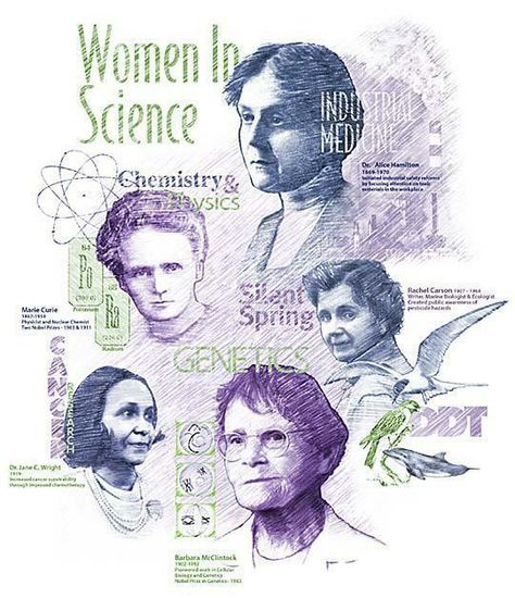 Physics Quotes, Female Scientist, Women In Science, Women Science, Stem Classroom, Women Scientists, Marie Curie, Science Humor, Science Biology