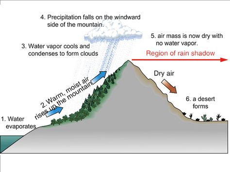 Rain-shadow Effect. Image by Wikispaces Weather Forecasting, Rain Shadow, Science Anchor Charts, Shadow Effect, High School Library, Physical Geography, Past Exam Papers, Geography Lessons, Past Exams