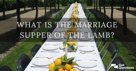 Who Is The Antichrist, Marriage Supper Of The Lamb, Marriage Scripture, Sermon Illustrations, Online Bible Study, Bride Of Christ, Weddings By Color, The Lamb, New Earth