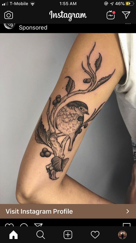 Bird And Berries Tattoo, Bird And Branch Tattoo, Bird Tattoo Back Of Arm, Bird On Branch Tattoo, Bird Tattoo Arm, Bird Branch Tattoo, Chaotic Tattoo, Chickadee Tattoo, Robin Bird Tattoos