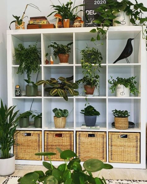 Ikea Cube Shelves, Ikea Cubes, Arch Inspiration, Ikea Uk, Ikea Units, Ikea Kallax Shelf, Ikea Australia, Kallax Shelving Unit, Cube Storage Unit