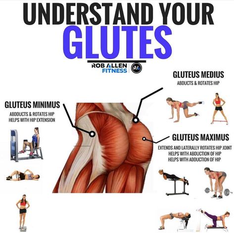 Hip Extension, Glute Activation Exercises, Glute Muscles, Gluteus Maximus, Hip Thrusts, Six Pack Abs Workout, Glute Activation, Glute Workout, Abdominal Exercises