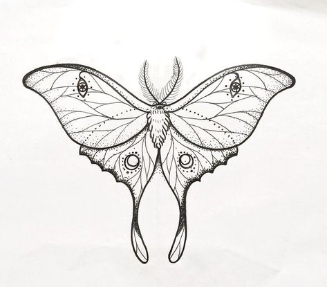 Moth Tattoo No Shading, Luna Moth Drawing Tattoo, Luna Moth Tattoo Stencil, Simplistic Moth Tattoo, Luna Moth Wings Drawing, Line Work Moth Tattoo, Luna Moth Line Art, Luna Moth Tattoo Design Simple, Lunar Moth Tattoo Design Simple