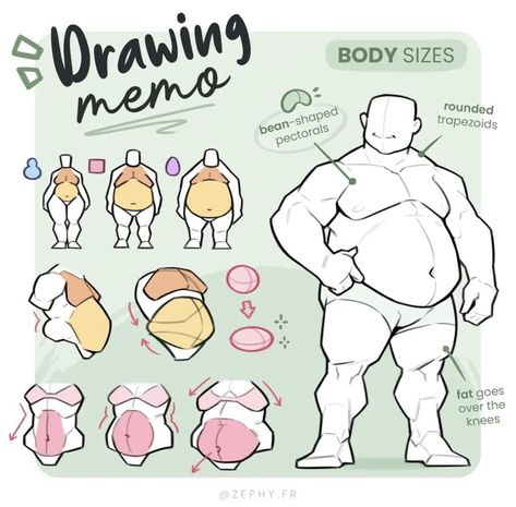 Body Weight Drawing, Muscle Poses Drawing, Bear Body Type, Body Reference Male, Anatomy Tips, Body Type Drawing, Drawing Anatomy, الفن الرقمي, Anatomy Tutorial