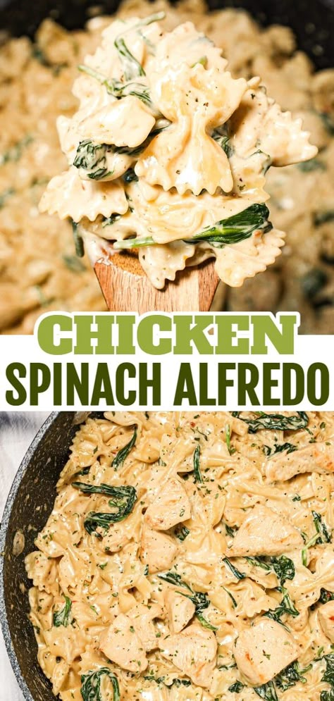 Spinach Fettuccine Recipes Pasta Dishes, Chicken And Spinach Skillet Pasta, Chicken Spinach Pasta Recipes Easy, Chicken Spinach Alfredo Crockpot, Chicken Bacon Spinach Alfredo, Creamy Chicken Spinach Pasta Recipes, Spinach Dip Chicken Pasta, Chicken Spinach Bowtie Pasta, Diced Chicken And Spinach Recipes