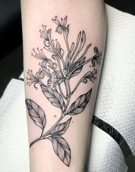 Honeysuckle Flower Tattoo, Tattoo Honeysuckle, May Birth Flower Tattoo, Top Of Shoulder Tattoo, Honeysuckle Tattoo, May Birth Flower, Tattoo On Arm, Filigree Tattoo, Sick Tattoo