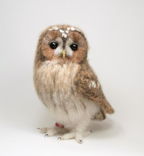 Felted Nest, Baby Sparrow, Felted Owl, Needle Felted Owl, Felted Birds, Felted Crochet, Tawny Owl, Needle Felting Ideas, Felt Owls